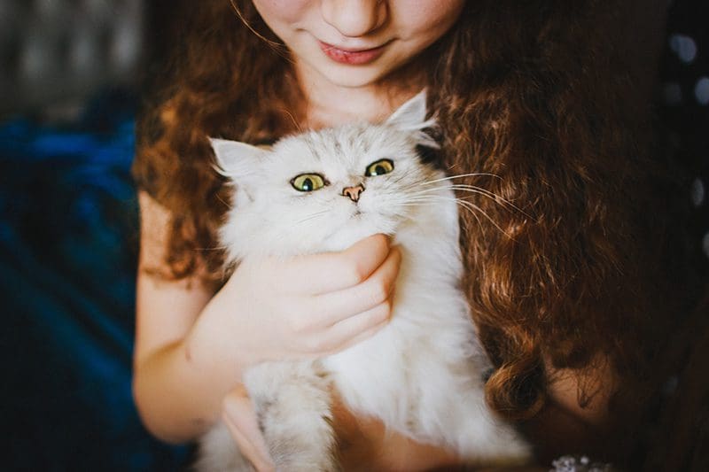 Child Holding Cat