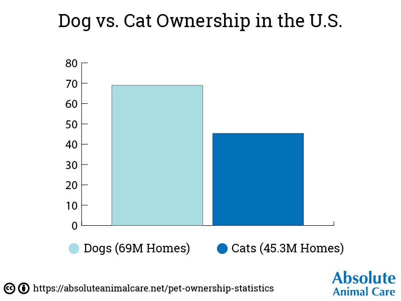 Pet Ownership Dog vs Cat